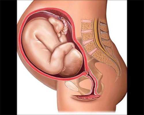 大型助孕机构_宝宝脑缺氧的表现是什么