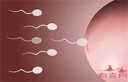 专业助代怀孕_深圳三代试管婴儿的费用是多少钱,一站式试管代孕平台！