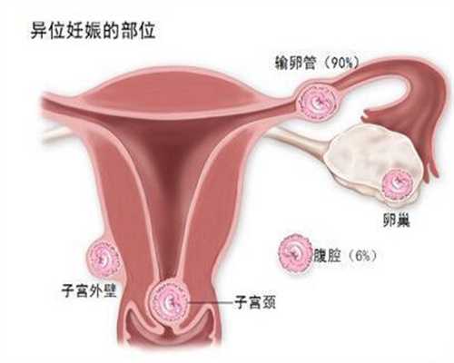 供卵代孕_女生的排卵期有几天 排卵期在什么时候