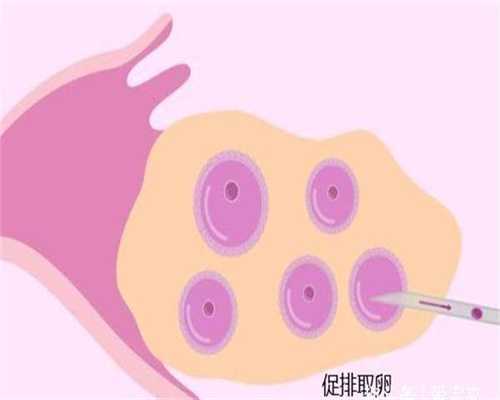 代孕网北京_代孕要做体检视频