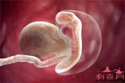 55岁借卵自怀_郴州姐妹47岁高龄试管婴儿唯一男胚一次移植成功！